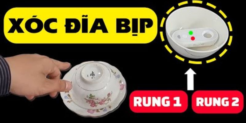 Kinh nghiệm hữu ích
